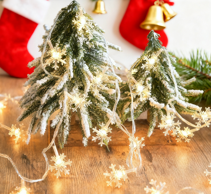 Christmas Snowflake Light